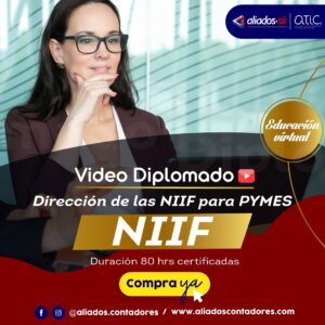 Diplomado Dirección de NIIF para PYMES – En video