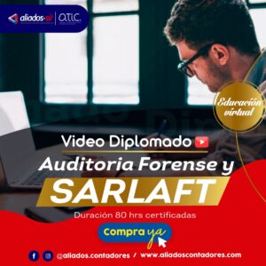 Diplomado en Auditoria Forense y SARLAFT – En Video
