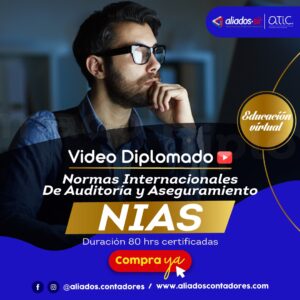 Diplomado en Normas Internacionales de Auditoria NIAS – En video